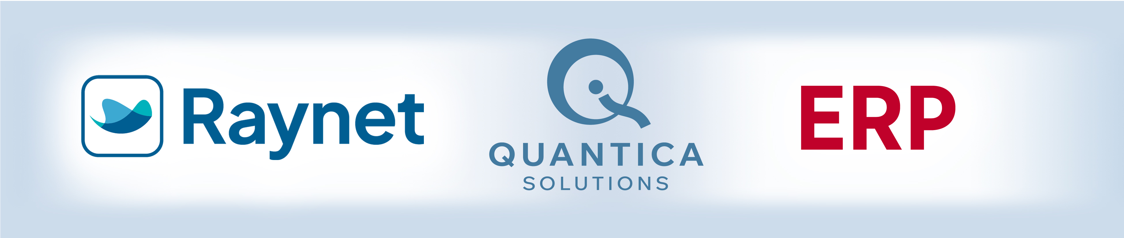 raynet_erp.jpg
